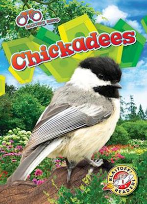 Chickadees