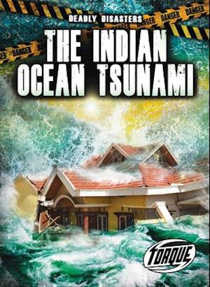 The Indian Ocean Tsunami