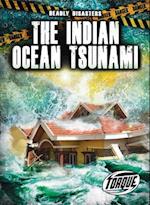 The Indian Ocean Tsunami