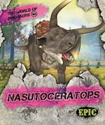 Nasutoceratops