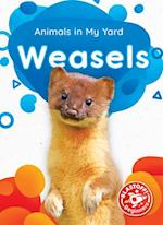 Weasels