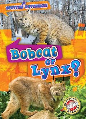 Bobcat or Lynx?