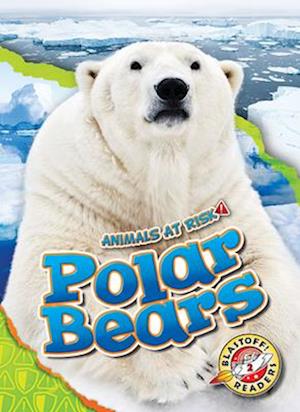 Polar Bears