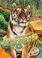 Tigers