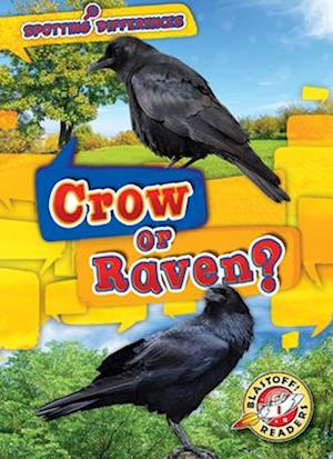 Crow or Raven?