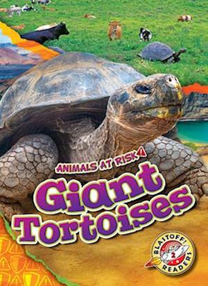 Giant Tortoises