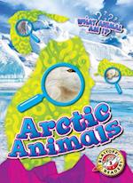 Arctic Animals