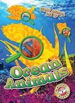 Ocean Animals