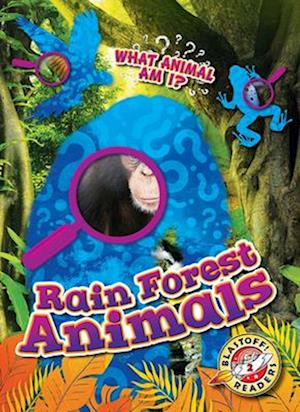 Rain Forest Animals