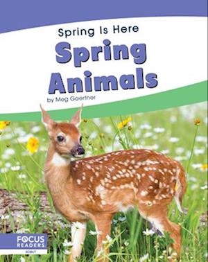 Spring Animals