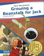 Growing a Beanstalk for Jack