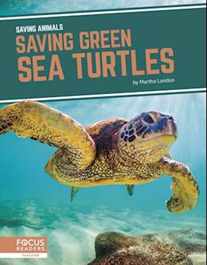 Saving Green Sea Turtles