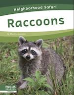 Raccoons