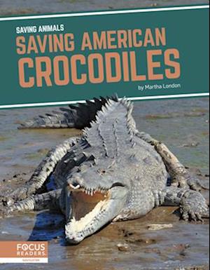 Saving American Crocodiles