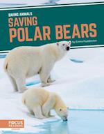 Saving Polar Bears