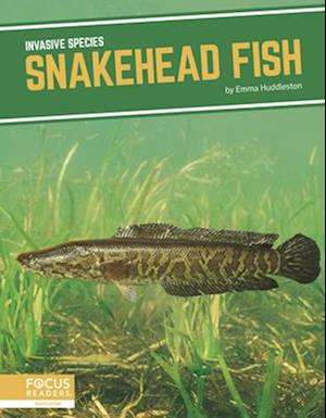Invasive Species: Snakehead Fish