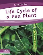 Life Cycles: Life Cycle of a Pea Plant