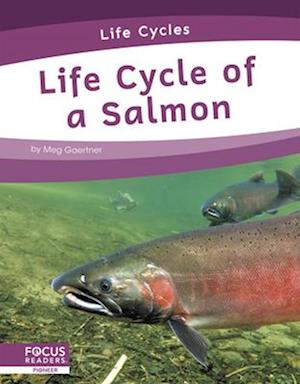 Life Cycles: Life Cycle of a Salmon