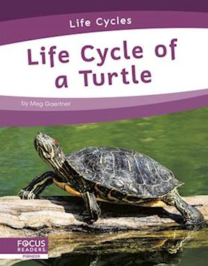 Life Cycles: Life Cycle of a Turtle