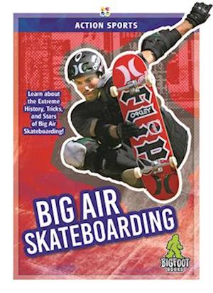 Big Air Skateboarding