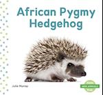 African Pygmy Hedgehog