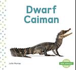 Dwarf Caiman