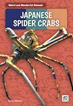 Japanese Spider Crabs
