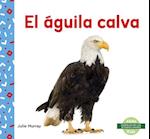 El Águila Calva (Bald Eagle)