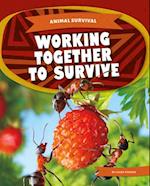 Animal Survival: Working Together to Survive