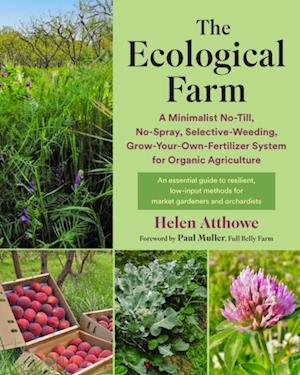 Ecological Farm