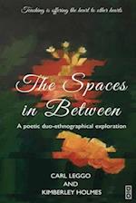 The Spaces in Between: A Poetic duo-ethnographical Exploration 