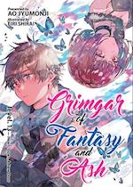 Grimgar of Fantasy and Ash (Light Novel) Vol. 13