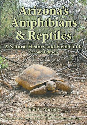 Arizona's Amphibians & Reptiles