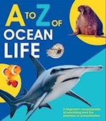 A to Z of Ocean Life