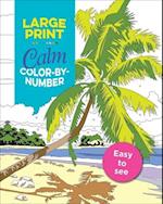 Large Print Calm Color-By-Number