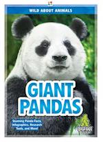 Giant Pandas