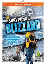 Surviving a Blizzard