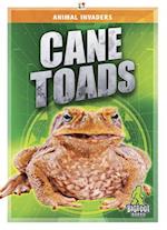 Cane Toads