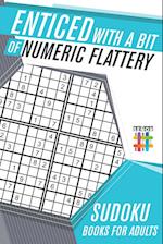 Enticed with a Bit of Numeric Flattery | Sudoku Books for Adults