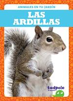 Las Ardillas (Squirrels)