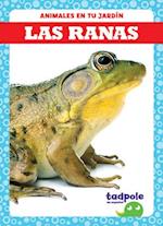 Las Ranas (Frogs)