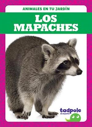 Los Mapaches (Raccoons)