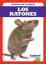 Los Ratones (Mice)
