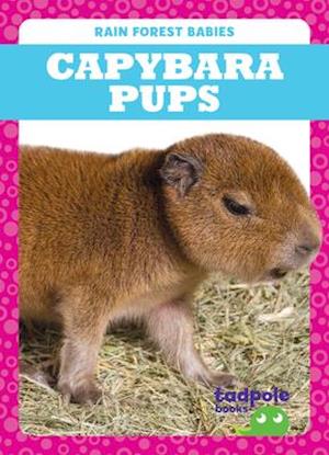 Capybara Pups