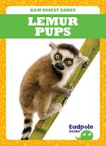 Lemur Pups