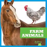 Farm Animals