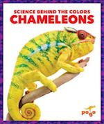 Chameleons