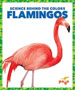 Flamingos