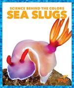 Sea Slugs