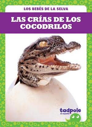 Las Cr&#x41c;_as de Los Cocodrilos (Crocodile Hatchlings)